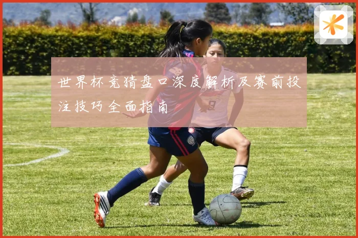 世界杯竞猜盘口深度解析及赛前投注技巧全面指南