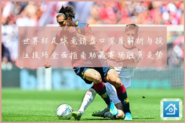 世界杯足球竞猜盘口深度解析与投注技巧全面指南助赢赛场胜负走势预测
