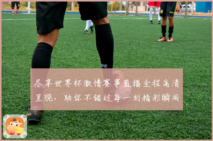 尽享世界杯激情赛事直播全程高清呈现，助你不错过每一刻精彩瞬间